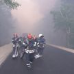 В Луганской области полыхают лесные пожары