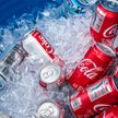 Coca-Cola в России могут продавать под брендом «Добрый кола»