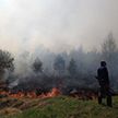 Пожар охватил 300 гектар леса под Наровлей