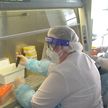 Тесты на COVID-19 проводят девять лабораторий в Гомельской области
