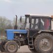 Сев кукурузы начался в Гомельской области: всё больше ранее загрязнённых чернобыльских земель возвращают в сельхозоборот