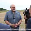 «Мне очень нравится этот комплекс». А. Лукашенко посетил сельхозпредприятие в Петриковском районе Гомельской области