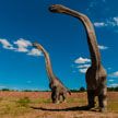 В Аргентине обнаружили новый вид динозавров