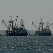 Россия отнимет у Японии право ловли рыбы в районе Курил