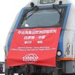 Первый экспортный поезд с белорусскими товарами отправился из Орши в Китай