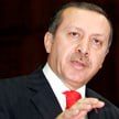 Эрдоган выразил надежду на переговоры с Путиным в самое ближайшее время