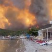 Лесные пожары в Турции: восемь человек погибли, пострадавших – почти тысяча