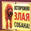 Собака начала настоящую охоту на случайных прохожих в Борисове. Шесть человек госпитализированы