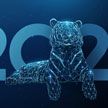 Год Тигра: чего ждать от символа 2022 года