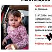 Четырехлетняя Майя Любимцева, которую искали больше суток, найдена мертвой