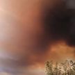 В Чили не могут потушить масштабные пожары, число жертв увеличилось до 24