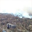 В Чернобыльской зоне потушили крупный пожар