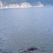 В Охотском море спасают гренландского кита
