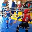 Тайский бокс: белорусские спортсмены преуспели в этом спорте! Посмотрели, как появляются чемпионы и что нужно для успеха