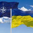 Восемь стран выступили за присоединение Украины к НАТО – президент Румынии