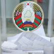 Выборы состоялись во всех округах Витебской области