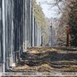 Минприроды проведет обсуждение проблемы польского забора в Беловежской пуще