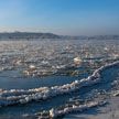 Во Владивостоке школьники оказались на льдине, уплывающей от берега