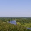 В Беларуси введены массовые ограничения на посещение лесов