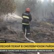 В Смолевичском районе произошел крупный лесной пожар