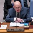 Россия возражает против виртуального участия Зеленского в заседании СБ ООН