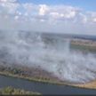 МЧС: ликвидированы лесные пожары в Столинском и Жлобинском районах