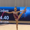 Во Дворце художественной гимнастики стартовал турнир, посвященный 100-летию спортивного общества «Динамо»