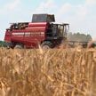 Аграрии Брестской области приступили к уборке зерновых