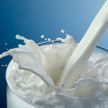 Обезжиренное молоко влияет на продолжительность жизни
