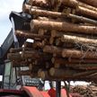 Процедура закупки лесных материалов в Беларуси для физлиц станет проще