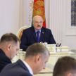 Эффективность перегрузки калийных удобрений: совещание Лукашенко по созданию портовых мощностей