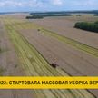 В Беларуси началась массовая уборка зерновых. В лидерах – Брестская область