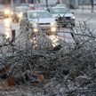 Из-за ураганного ветра за двое суток пострадали 39 населенных пунктов Беларуси