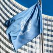 Литву и Румынию не пустили на заседание СБ ООН по Украине