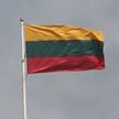 В 2024 году в Литве может пройти референдум о двойном гражданстве