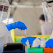 Ученые Израиля заявили о прорыве в создании вакцины от коронавируса