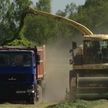 В Беларуси полевые работы в разгаре