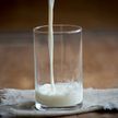 В одном из хозяйств Гомельской области разбавляли молоко водой, чтобы скрыть падение производительности