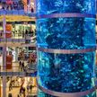 Самый высокий цилиндрический аквариум в мире протек (ВИДЕО)
