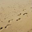 Американцы нашли зыбучие пески и стали проверять, не утонут ли (ВИДЕО)