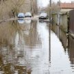 Талые воды подтопили подворья и жилые дома в Брестской и Гомельской областях