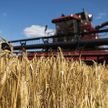 Белорусские аграрии ведут активную работу по сбору урожая