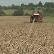 Уборочная-2023: аграрии перешли планку в два миллиона тонн зерна. Кто лидирует в «гонке»?