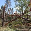 В Беларуси в результате прошедших ураганов погибли семь человек, из них двое – дети