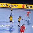 Сборная Беларуси по гандболу сыграла вничью со Швецией в первом матче основного раунда чемпионата мира