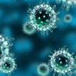 Названы условия, которые способствуют распространению коронавируса