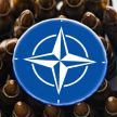 Глава МИД Британии планирует призвать союзников по НАТО совместно закупать снаряды для Украины