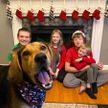 Семья устроила рождественскую фотосессию, но их собака решила «улучшить» снимки