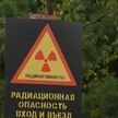 Как в Могилевской области возрождают земли, пострадавшие от Чернобыльской АЭС