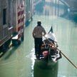 Corriere del Veneto: вода Большого венецианского канала окрасилась в ярко-зеленый цвет